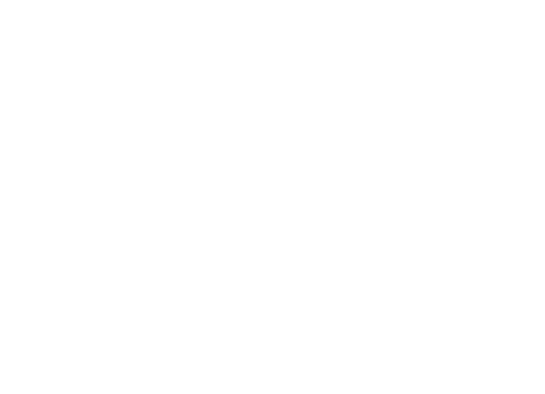 Mandarin Oriental Brickell Key Logo